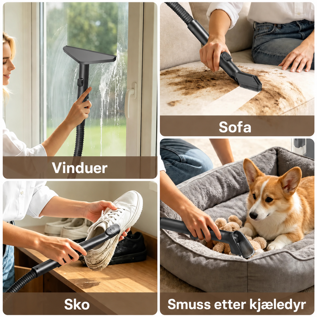 Rengjøring av vinduer, sofaer, sko og smuss etter kjæledyr